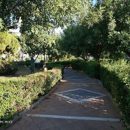 Beautiful House In Alimos Near To The Beach And Metro Athen Eksteriør billede